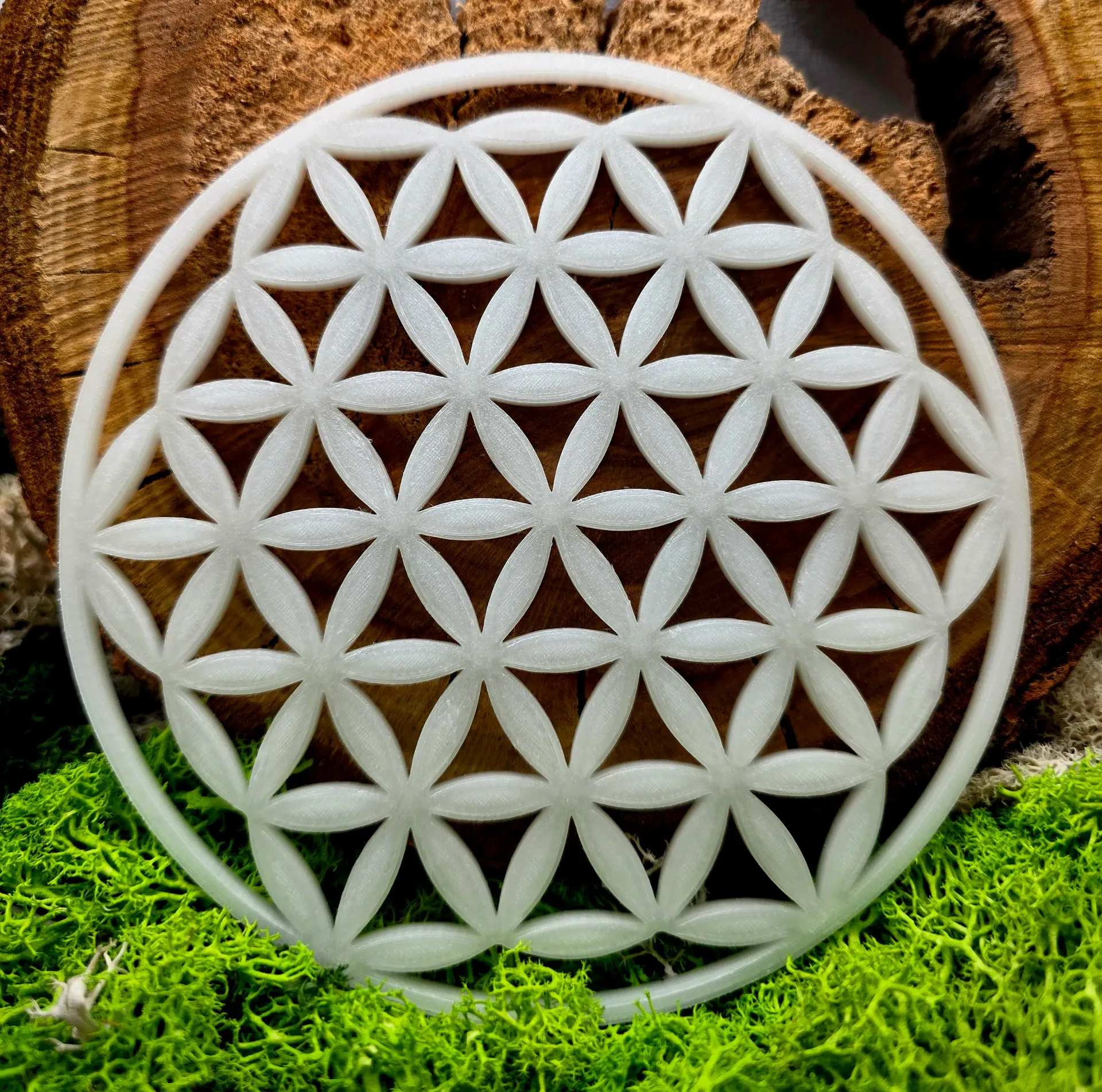 Fleur de vie Phosphorescente : La magie opère dans l'obscurité